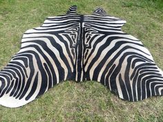 two zebra skins laying on the grass