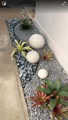 some white balls and plants in a graveled area next to a wall on the sidewalk