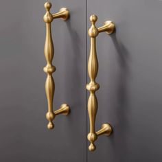 an image of two handles on a door