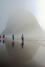 several people are walking on the beach with their surfboards