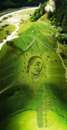 an aerial view of a grassy area with a face drawn in the grass on it