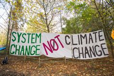 two people holding signs in front of trees with leaves on the ground and one person walking behind them