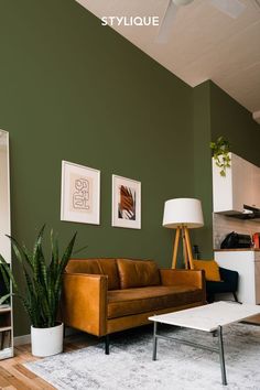 a living room with green walls and white carpet