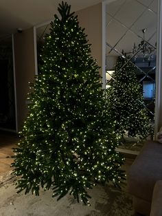 Красивая елка. Новый год Trees And Trends, Forest Christmas, Minimalist Christmas Tree, Dark Christmas, Elegant Christmas Trees