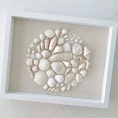 a white frame with sea shells in it