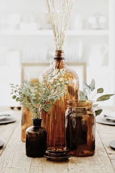 three jars with plants in them sitting on a table