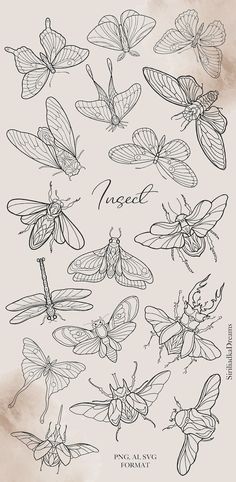 a bunch of butterflies that are drawn in pencil and ink with the words angel on them