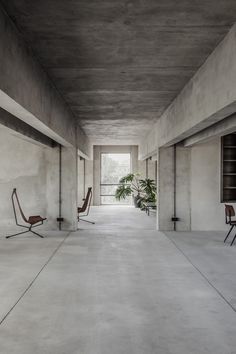 an empty room with two chairs and a potted plant