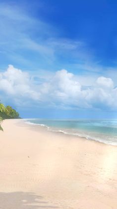 an empty beach with palm trees and blue sky