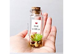 a hand holding a tiny bottle with some plants in it that says you are so coffee - free