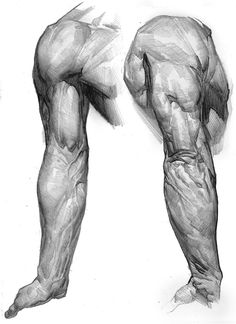 a man's back and arm muscles are shown in this black and white drawing