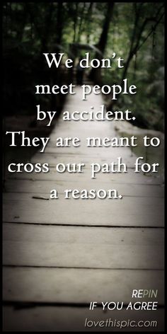 a wooden walkway leading into the woods with a quote on it that reads, we don't meet people by accident they are meant to cross our path for a reason