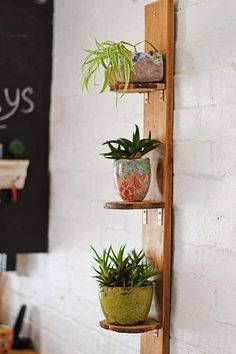 three wooden shelves with plants on them