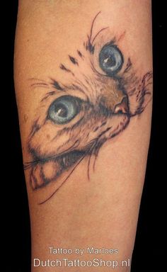 a cat with blue eyes is shown on the leg and it's head has been drawn