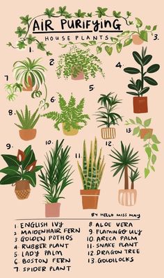 a poster with different types of house plants