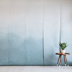 a potted plant sitting on top of a wooden table next to a blue wall