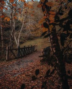 a wooden bridge surrounded by leaves and trees