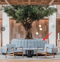 a living room filled with furniture and a large tree in the middle of the room