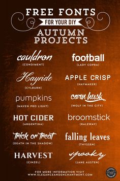 an orange and black poster with different font styles