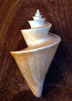 three white vases are stacked on top of each other in front of a brown wall