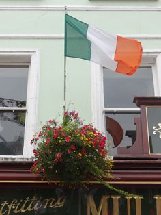 a potted plant with flowers in front of a window and the irish flag flying above it