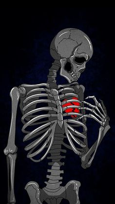 a skeleton is shown with the red light on it's chest