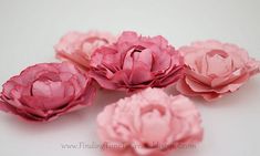 five pink flowers on a white surface