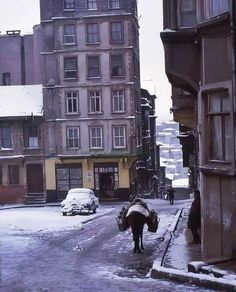 a horse is standing in the middle of an alleyway with snow on the ground