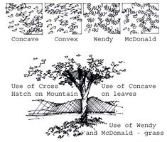 four different types of trees are shown in this diagram, and each tree has its own name