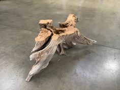 a piece of drift wood sitting on top of a cement floor