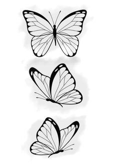 three butterflies that are drawn in black and white