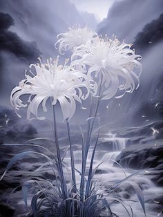 three white flowers in the middle of a stream with dark clouds behind them and water running through it