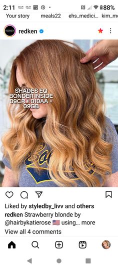 Redken Color Formulas, Hair Toner, Redken Color, Strawberry Blonde Hair