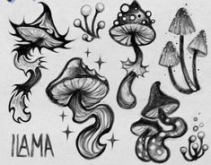 some drawings of different types of mushrooms and leaves with the word i ama written on them