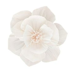 a large white flower on a white background