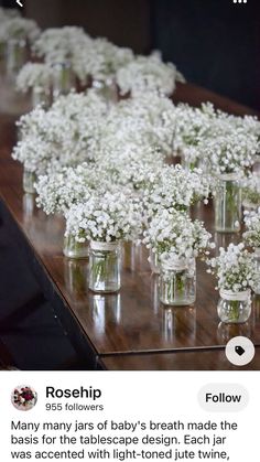 flowers in small glass vases sitting on a table with the caption rosehip