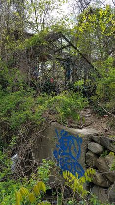 graffiti on the side of a stone wall in an overgrown area with trees and bushes