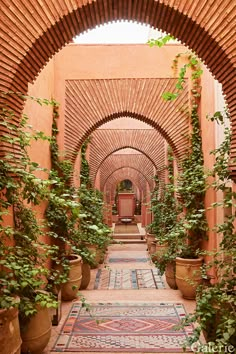 an archway with potted plants on either side