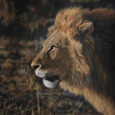 a painting of a lion walking in the grass with its head turned to the side