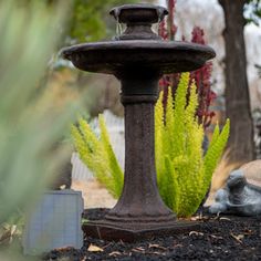 a bird bath surrounded by plants and rocks