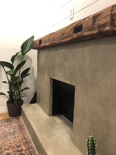 a cement fireplace with a cactus in the corner