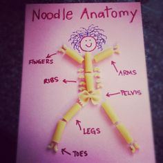 a card with the words noodle anatomy on it