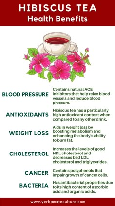 Benefits Of Hibiscus Tea, Hibiscus Tea Recipe, Benefits Of Hibiscus, Hibiscus Tea Benefits, Herbal Drink, Tea Remedies