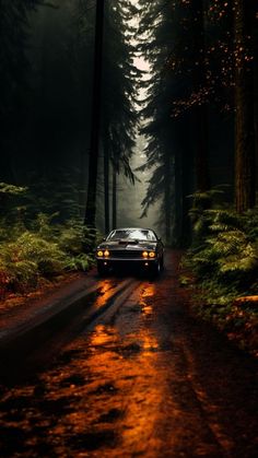 a car driving down a road in the woods at night with its headlights on and fog coming off