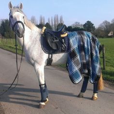 a white horse with a blanket on it's back is walking down the road