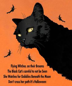 a black cat with yellow eyes stares into the distance while birds fly around it, in front of an orange background