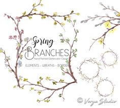 spring branches with flowers and leaves on white background