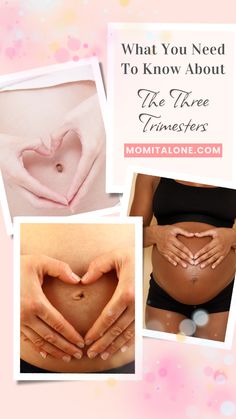 The basic breakdown of what you should know about the three trimesters of pregnancy Baby Shower Registry List, Pregnancy Prep, Weeks Of Pregnancy, Registry List, Baby Shower Registry, The Incredible Journey, Pregnancy Guide, Second Trimester, Trimesters Of Pregnancy