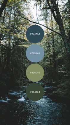 the five elements of nature are shown in different colors