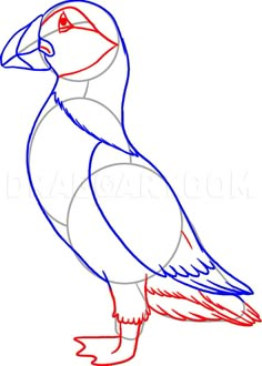 a drawing of a bird with red and blue colors on it's face, standing upright